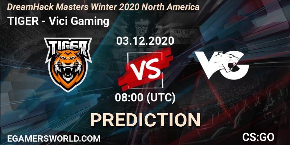 TIGER - Vici Gaming: Maç tahminleri. 03.12.2020 at 08:00, Counter-Strike (CS2), DreamHack Masters Winter 2020 Asia
