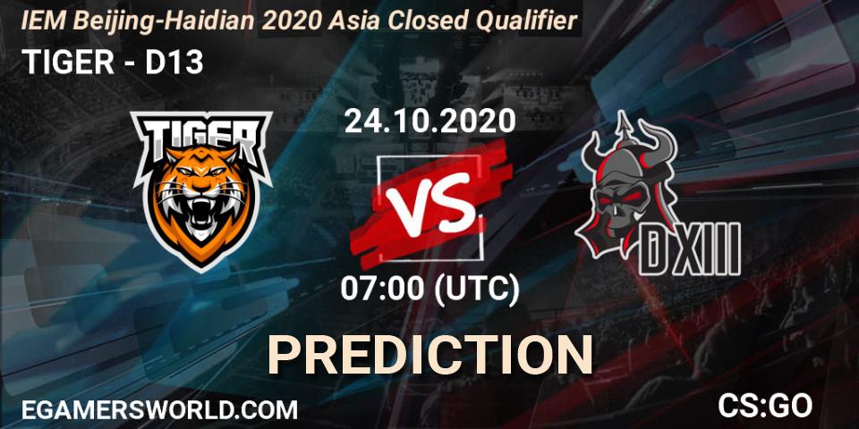 TIGER - D13: Maç tahminleri. 24.10.2020 at 07:00, Counter-Strike (CS2), IEM Beijing-Haidian 2020 Asia Closed Qualifier