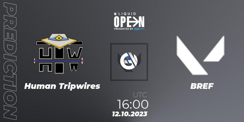 Human Tripwires - BREF: Maç tahminleri. 12.10.2023 at 16:00, VALORANT, Liquid Open 2023 - Europe