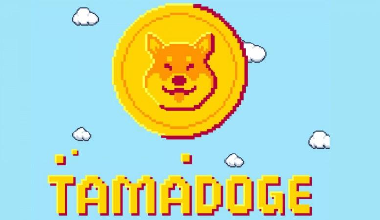 Tamadoge — Dogecoin konusunda başka bir heyecan yaratma girişimi mi yoksa NFT- oyun dünyasında büyük bir yenilik mi?