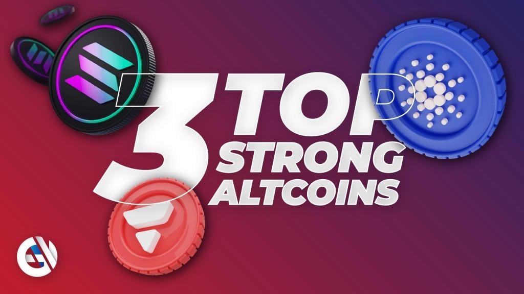 The top 3 altcoins with a strong fundamental