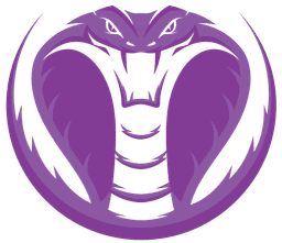 Purple Cobras(valorant)