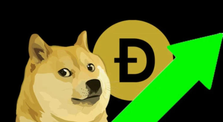 Why has Dogecoin grown 35% what awaits it in the future?. Photo 15